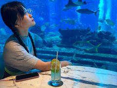 -亚特兰蒂斯•OSSIANO奥西亚诺海底餐厅