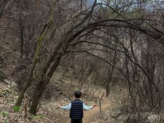 -抱龙峪
