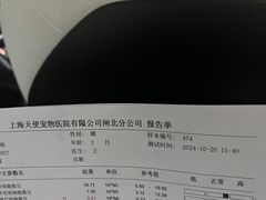-瑞派天使宠物医院·神经外科·骨科·核磁(洛川中路店)