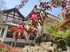 -济南国际园博园