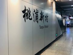 -桃浦新村(地铁站)