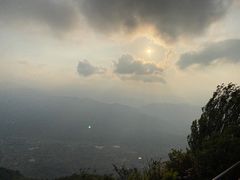 -江西阳明山国家森林公园