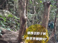-石台牯牛降景区