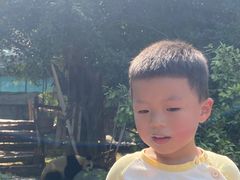 -泉州海丝野生动物世界