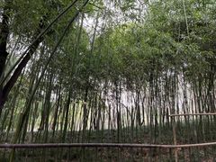 -西安市长乐公园