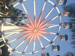 iphone_upload_pic-华侨公园