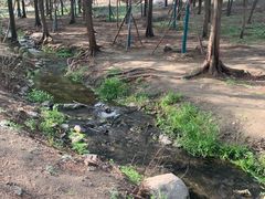 -白水寺森林公园