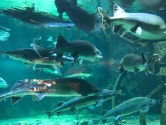 -华夏文旅海洋公园