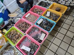 -蛇口市场