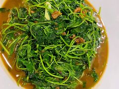 蚌肉金花菜-洋洋中餐馆·SINCE 1997(信投店)