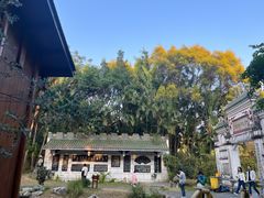 -深圳国际园林花卉博览园