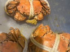 -蚝英雄鲜蚝自助专门店(朝阳门直营店)