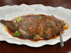 -丁老爷子苏香圆