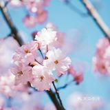 昆明拍照攻略——圆通山