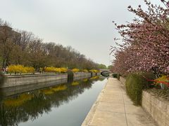 -元大都城垣遗址公园