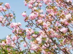 -观澜湖生态运动公社