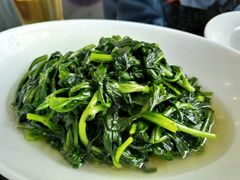 -云中小雅