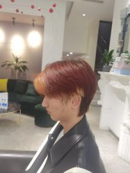-爱维丽