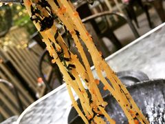明太子意大利面-Ginger(兴国路店)
