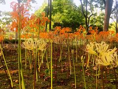 -白塘生态植物园