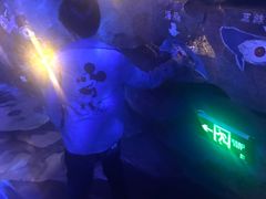 -芜湖新华联大白鲸海洋公园