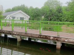 -金银湖国家城市湿地公园