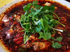 -胖大姐黄辣丁鱼庄(新津店)