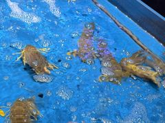 -徐记海鲜(大雁塔|金都店)