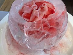 冰爆鹅肠-蜀九香火锅(九眼桥店)