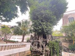 -荔湾湖公园
