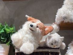 -番茄口袋(上海普陀区环球港店)