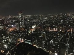 -东京都厅舍