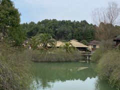 -咸宁万豪温泉谷度假区