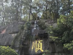 -三水森林公园