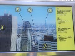 -东京都厅舍