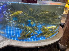 -四季厨房 鲁菜·孔府烤鸭(高新万达店)