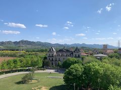 -北京张裕爱斐堡酒庄