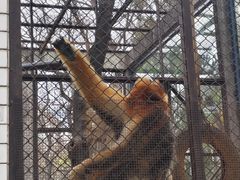 -昆明动物园