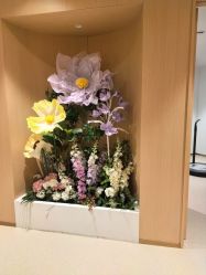 -天津伊美尔医疗整形美容专科医院