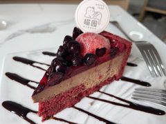 -喵园·猫主题咖啡厅·撸猫·猫咖(国贸店)