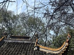 -岳麓山风景名胜区