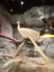 -Zoolung Zoolung动物主题公园(海信广场店)