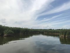 -白渔泡湿地公园