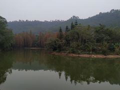 -滴水岩森林公园