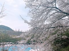 -杭州少年儿童公园