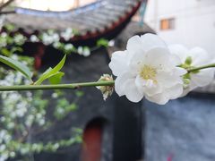 -乌山风景区
