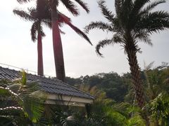 -梧桐山风景名胜区