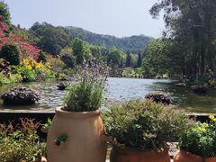 -深圳仙湖植物园