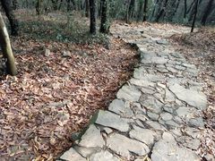 -秦园惠山豆腐花(惠山古镇店)
