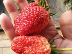 -兴芮温泉度假区